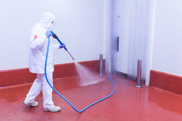 Best Oil Spill Cleanup  in Susanville, CA